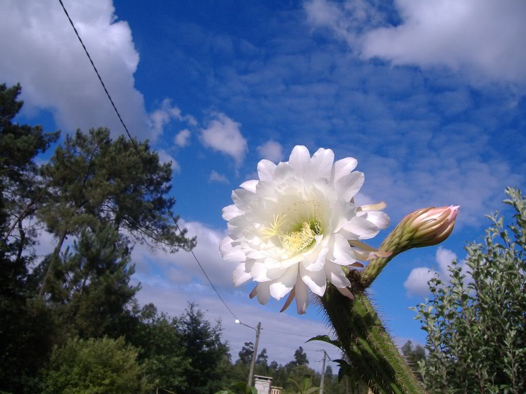 DSCF00451280x768-1.jpg