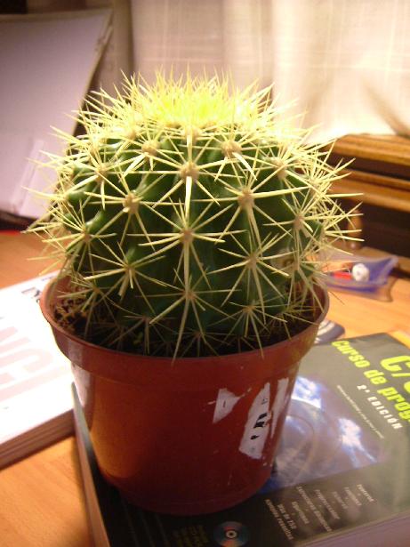 Dscf0047.jpg