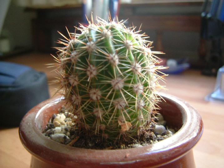 Dscf0050.jpg