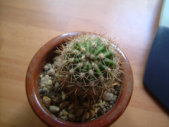 Dscf0051.jpg