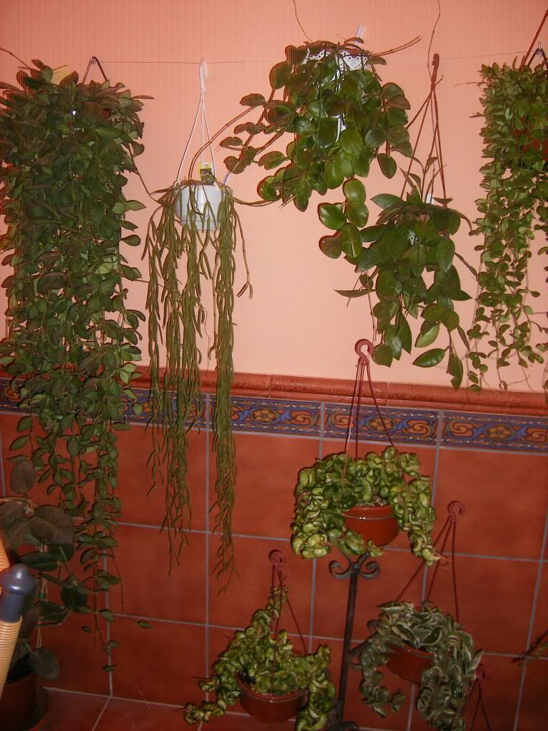 DSCF0088.jpg