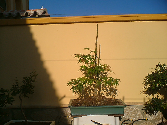 DSCF0113.JPG