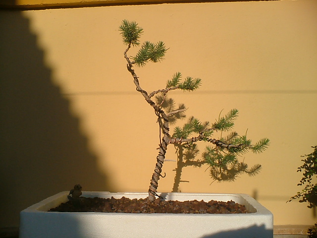 DSCF0120.JPG