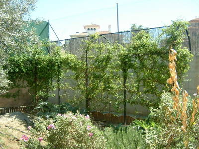DSCF0121.JPG