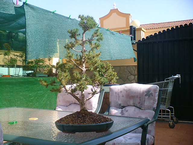DSCF0129.JPG