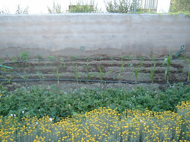 DSCF0134.JPG