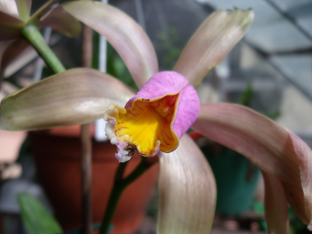 DSCF0136.jpg