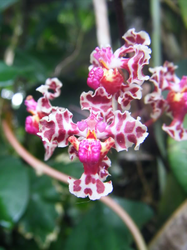 DSCF0157.jpg