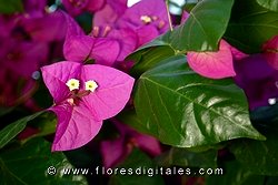 Dscf0159.jpg