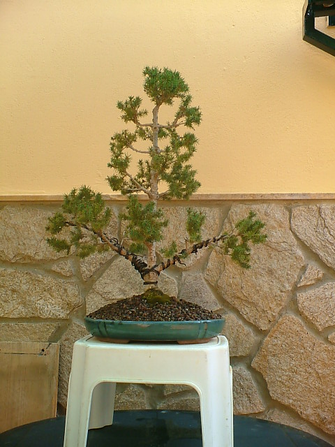 DSCF0170.JPG