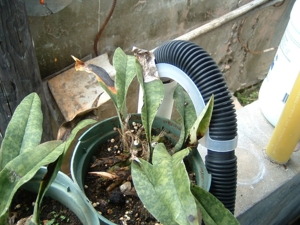 DSCF0175.jpg