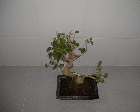 DSCF0179.JPG