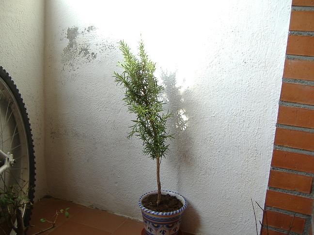 DSCF01851.JPG