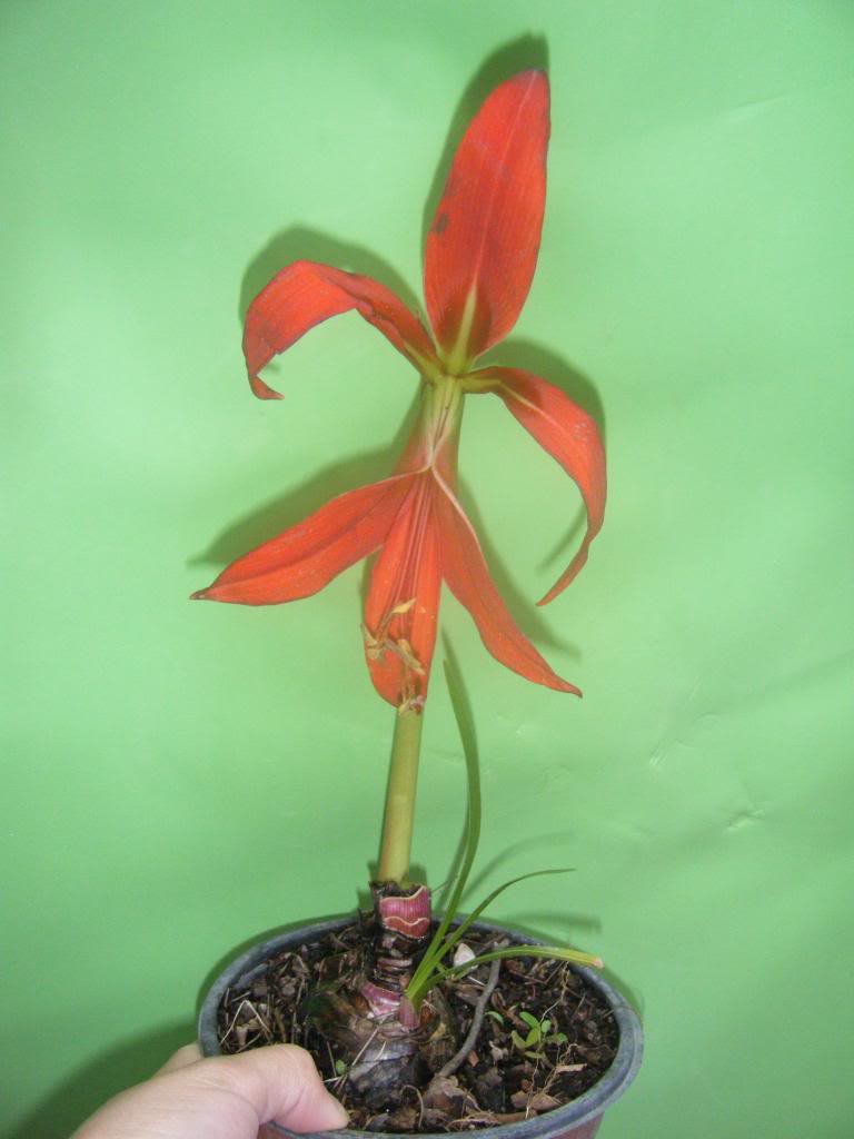DSCF0199.jpg