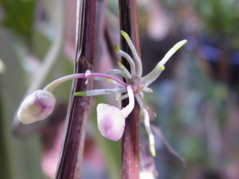 DSCF0245.jpg