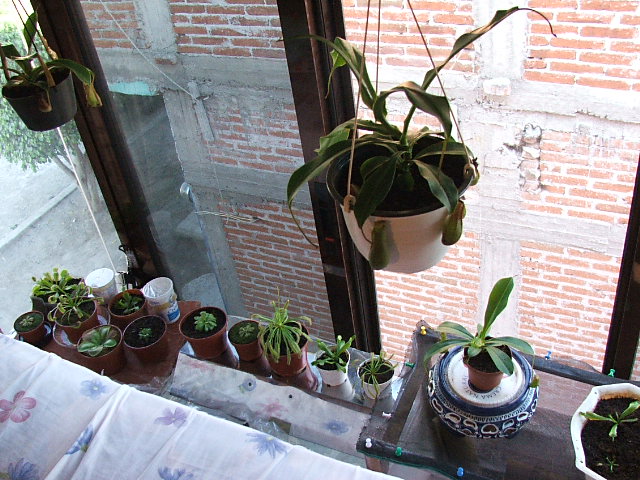 DSCF0256.JPG