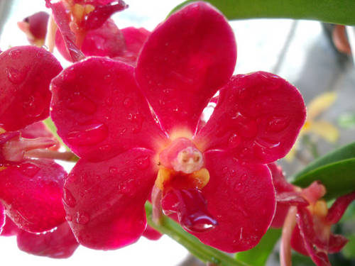 DSCF02681.jpg