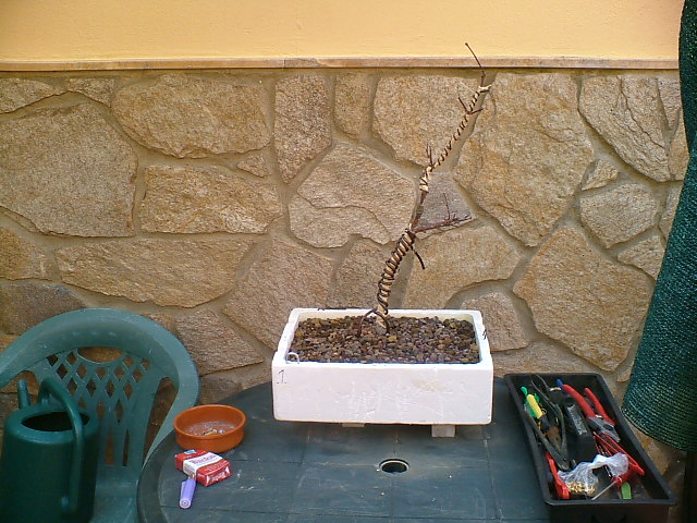 DSCF0269.JPG