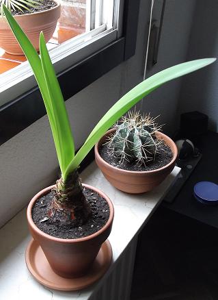 DSCF0287_zps15a3b4c9.jpg