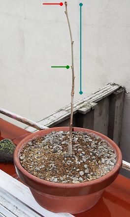 DSCF0290_zps358bafae.jpg
