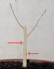 DSCF0310_zps3dbd2c22.jpg