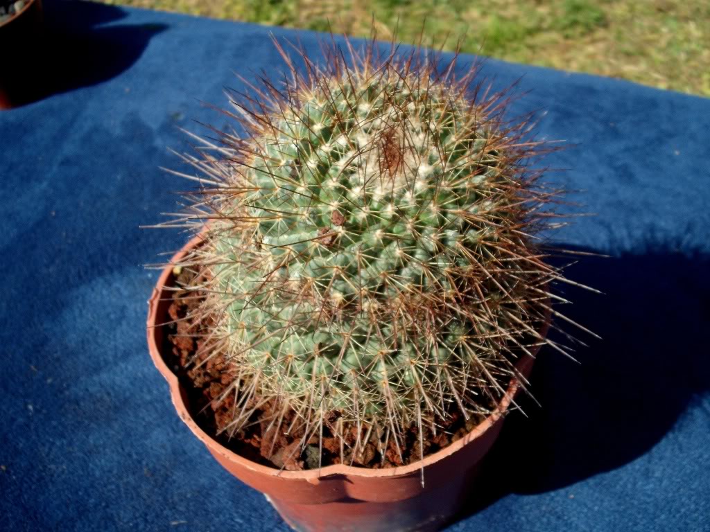 DSCF0327.jpg