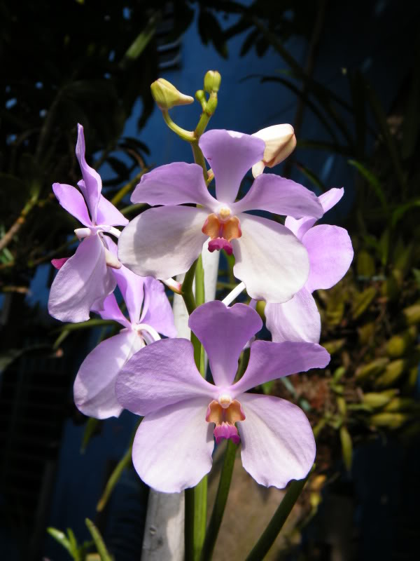 DSCF0372.jpg