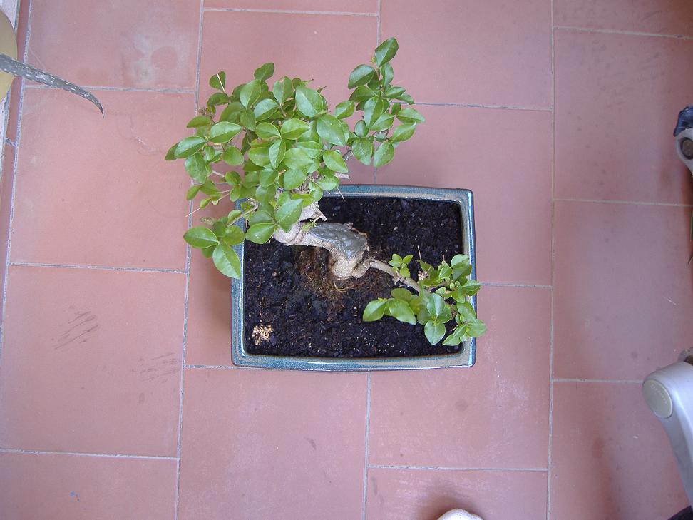 DSCF04062.JPG
