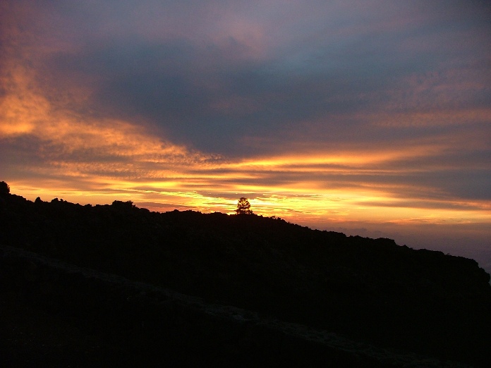DSCF0430_chiqui.JPG