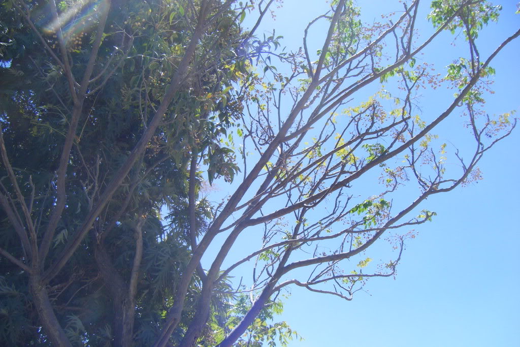 Dscf0440.jpg