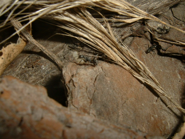 DSCF0443.JPG