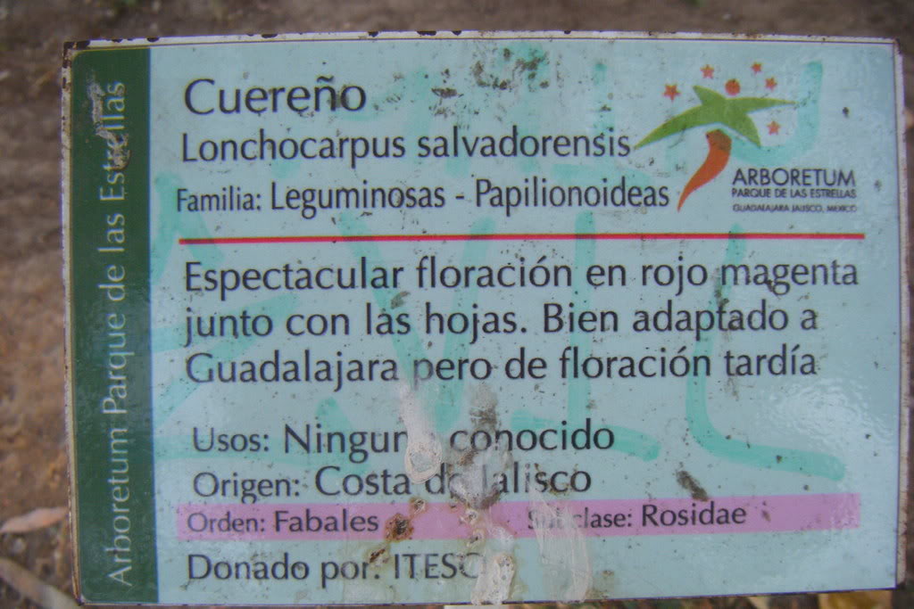 Dscf0503.jpg