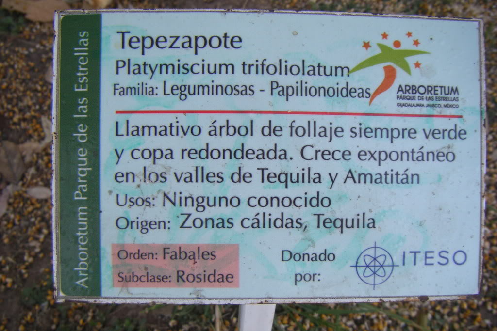 Dscf0511.jpg