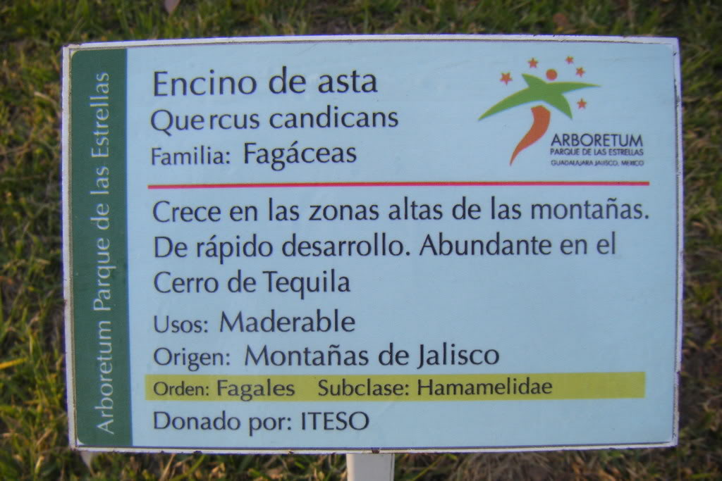 Dscf0520.jpg