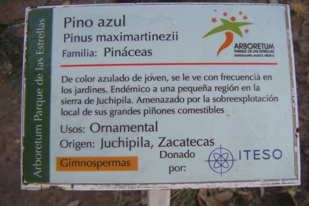 Dscf0531.jpg