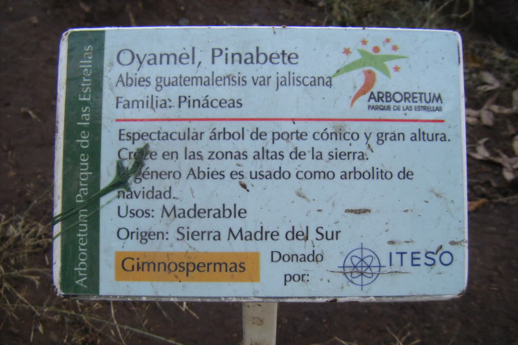 Dscf0534.jpg