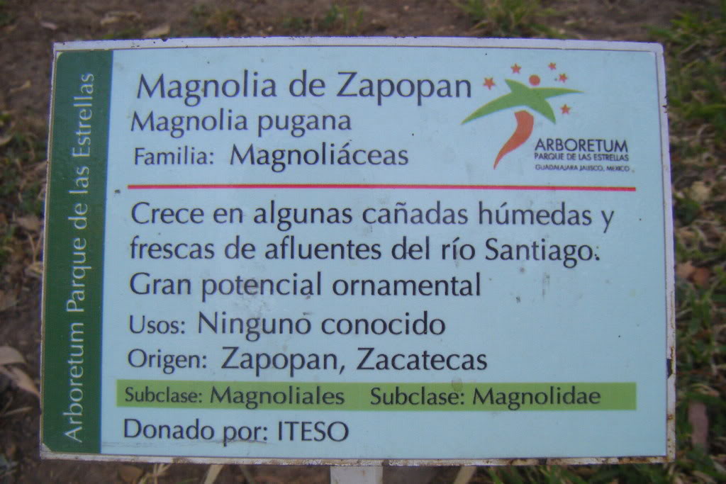 Dscf0541.jpg