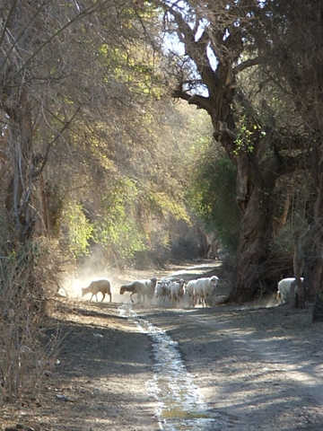 DSCF0545%5B5%5D.jpg