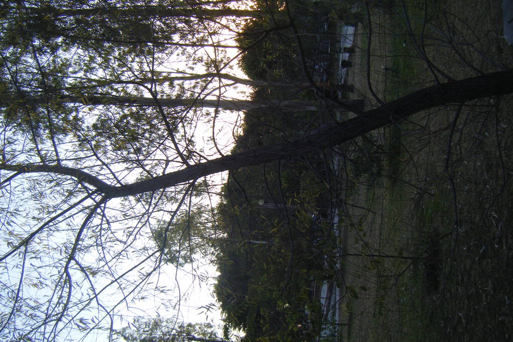 Dscf0550.jpg