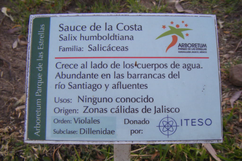 Dscf0552.jpg