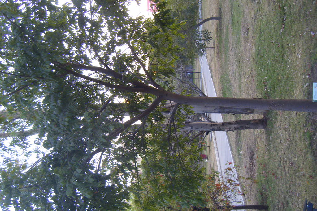 Dscf0553.jpg
