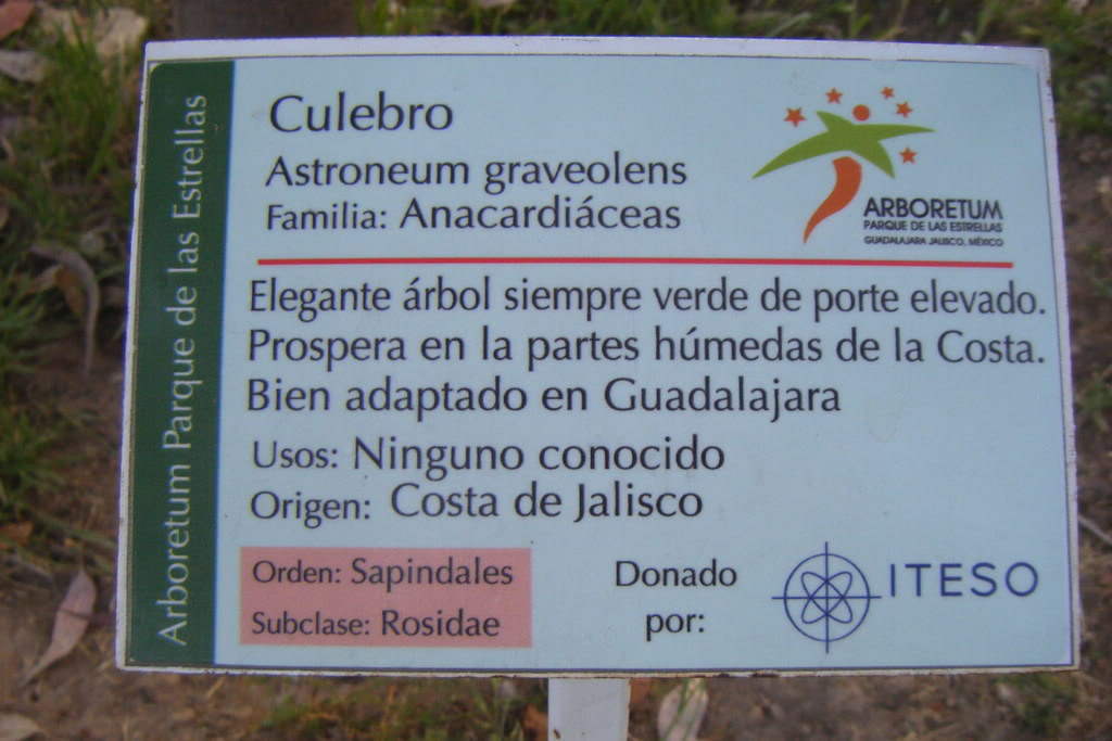 Dscf0556.jpg