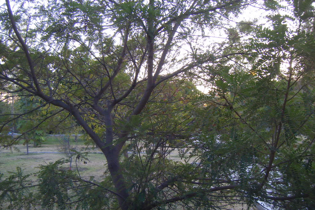 Dscf0557.jpg