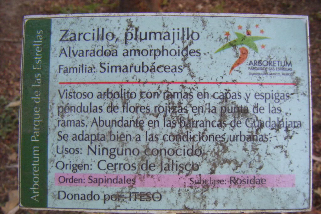 Dscf0559.jpg