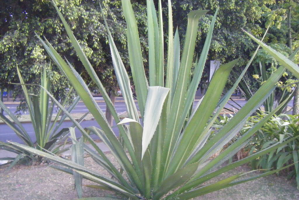 Dscf0565.jpg