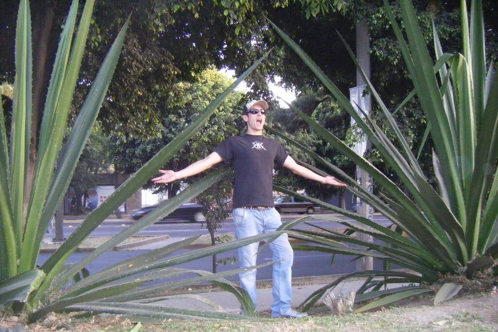 Dscf0567.jpg