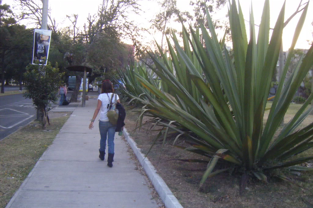 Dscf0578.jpg