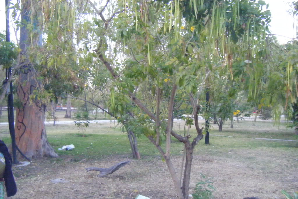 Dscf0579.jpg