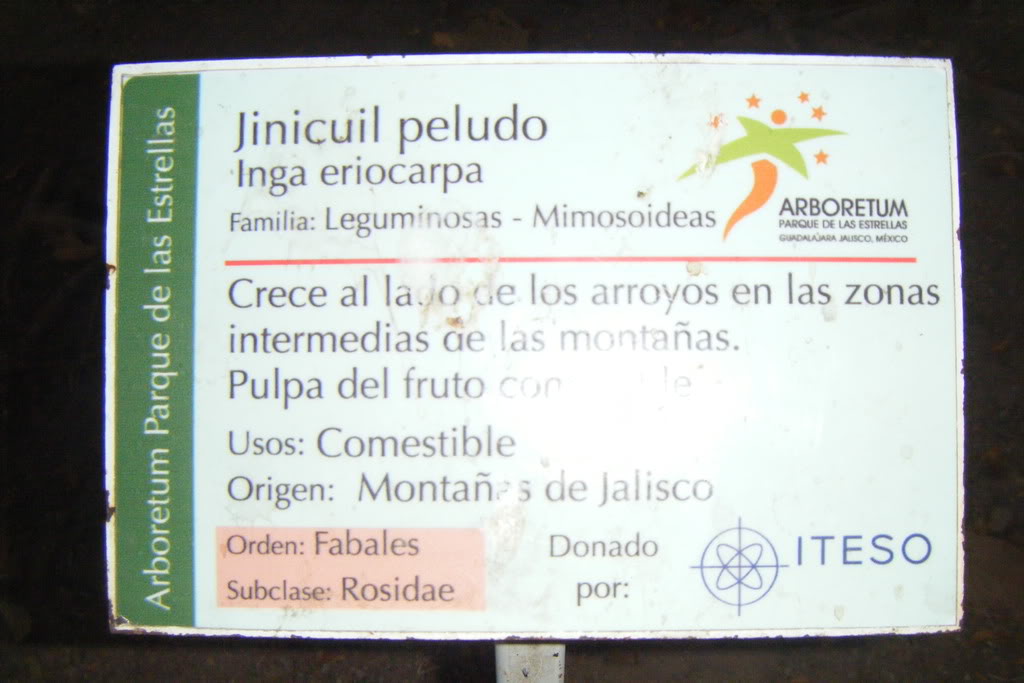 Dscf0587.jpg