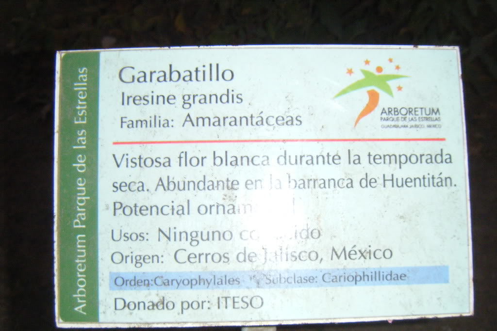 Dscf0590.jpg